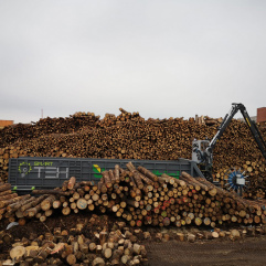 Log loading at port in Latvia 