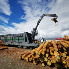 Container load with spruce logs