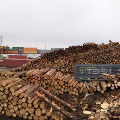 Log loading system